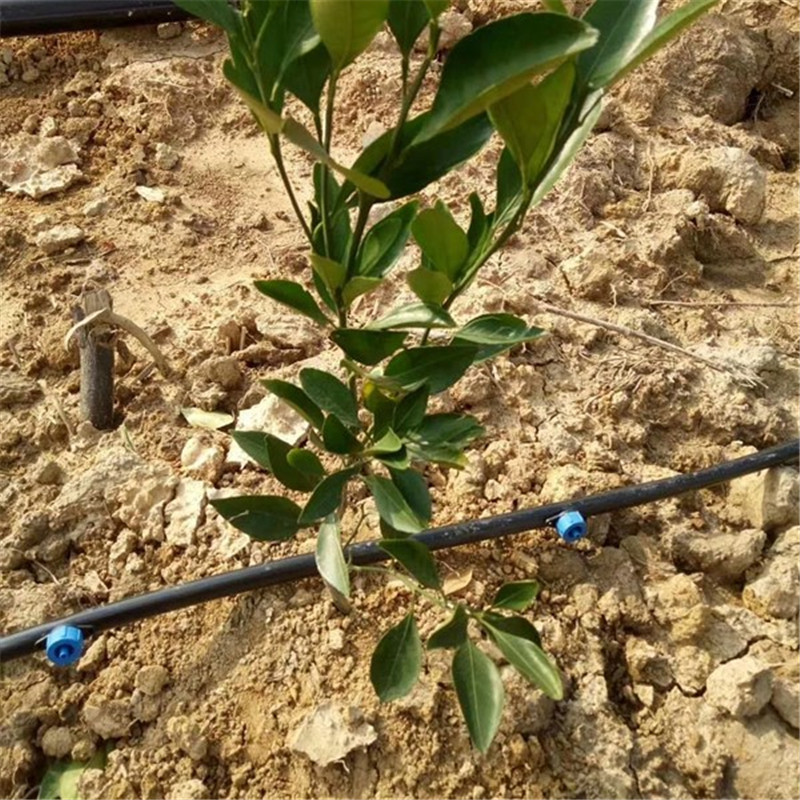 Drip irrigation series