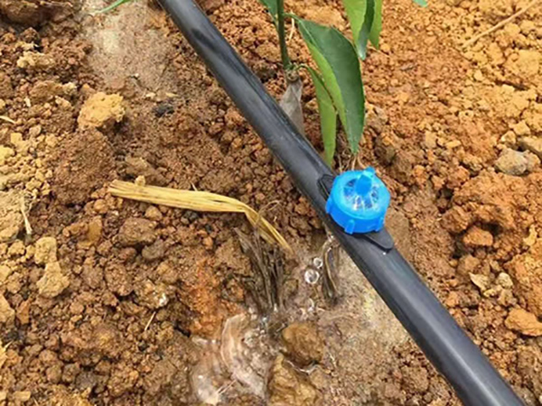 គម្រោង Drip Irrigation