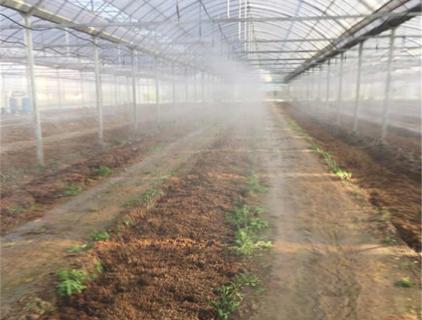 Five New Technologies for Irrigation in Foreign Orchards