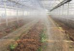Cinco novas tecnologias para irrigação em pomares estrangeiros